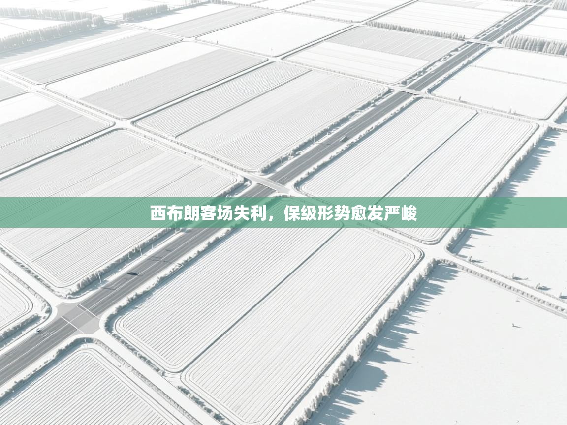 西布朗客场失利,保级形势愈发严峻 第1张