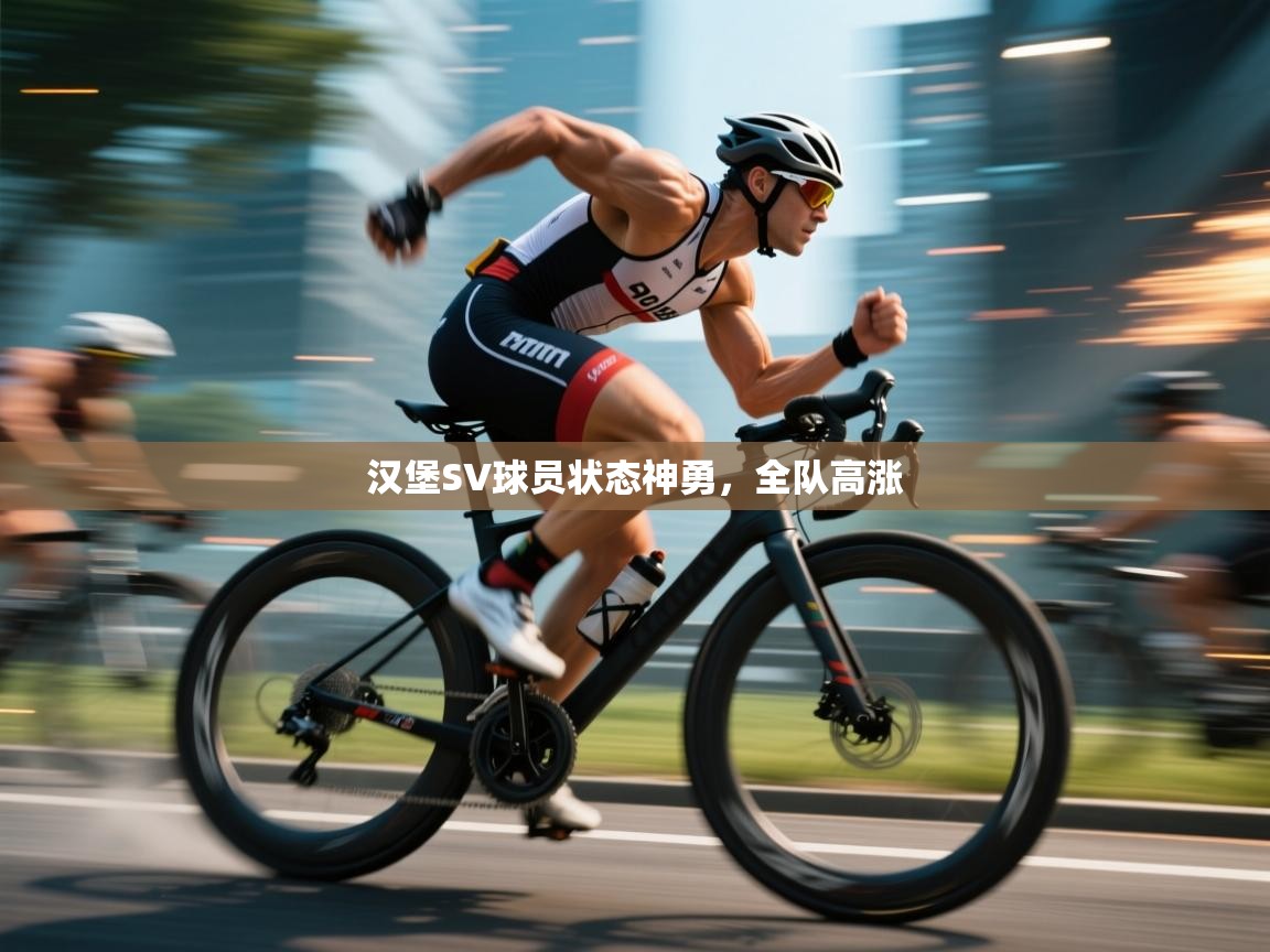 汉堡SV球员状态神勇,全队高涨 第1张