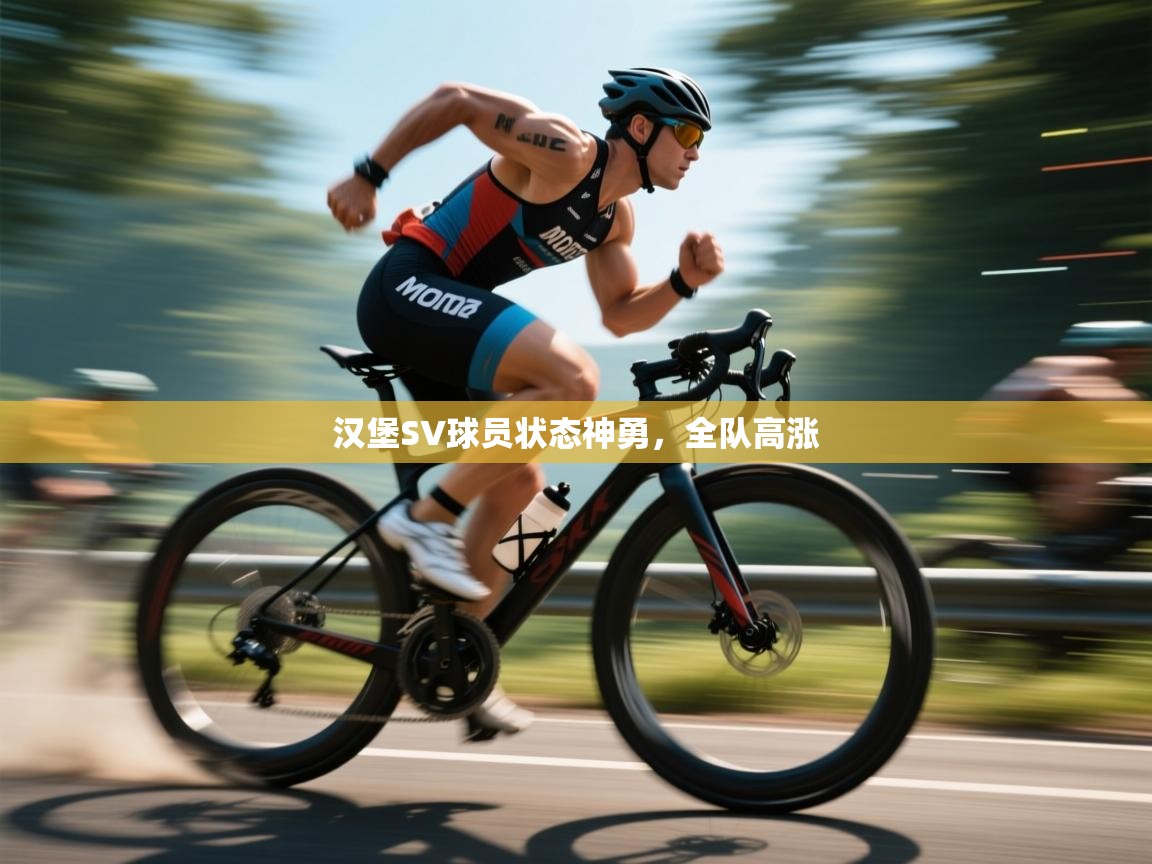 汉堡SV球员状态神勇,全队高涨 第2张