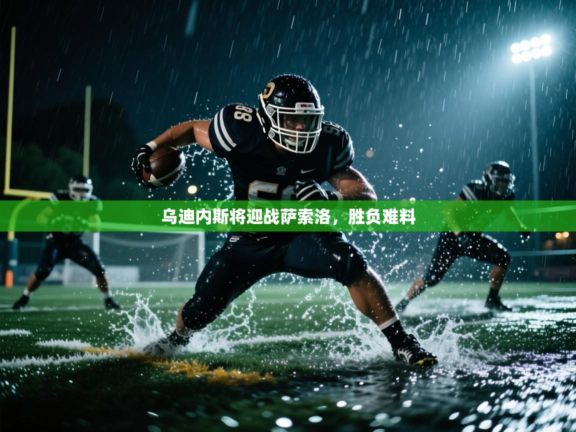 乌迪内斯将迎战萨索洛,胜负难料 第2张