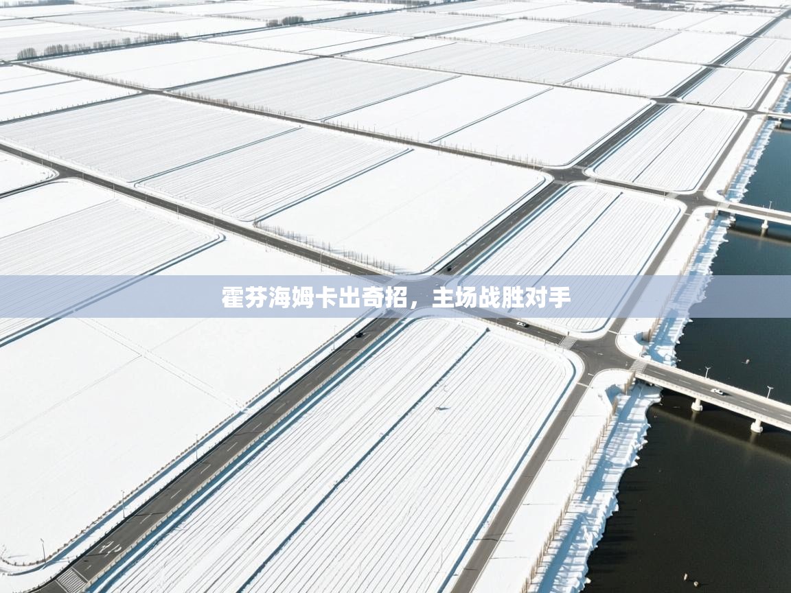 霍芬海姆卡出奇招，主场战胜对手