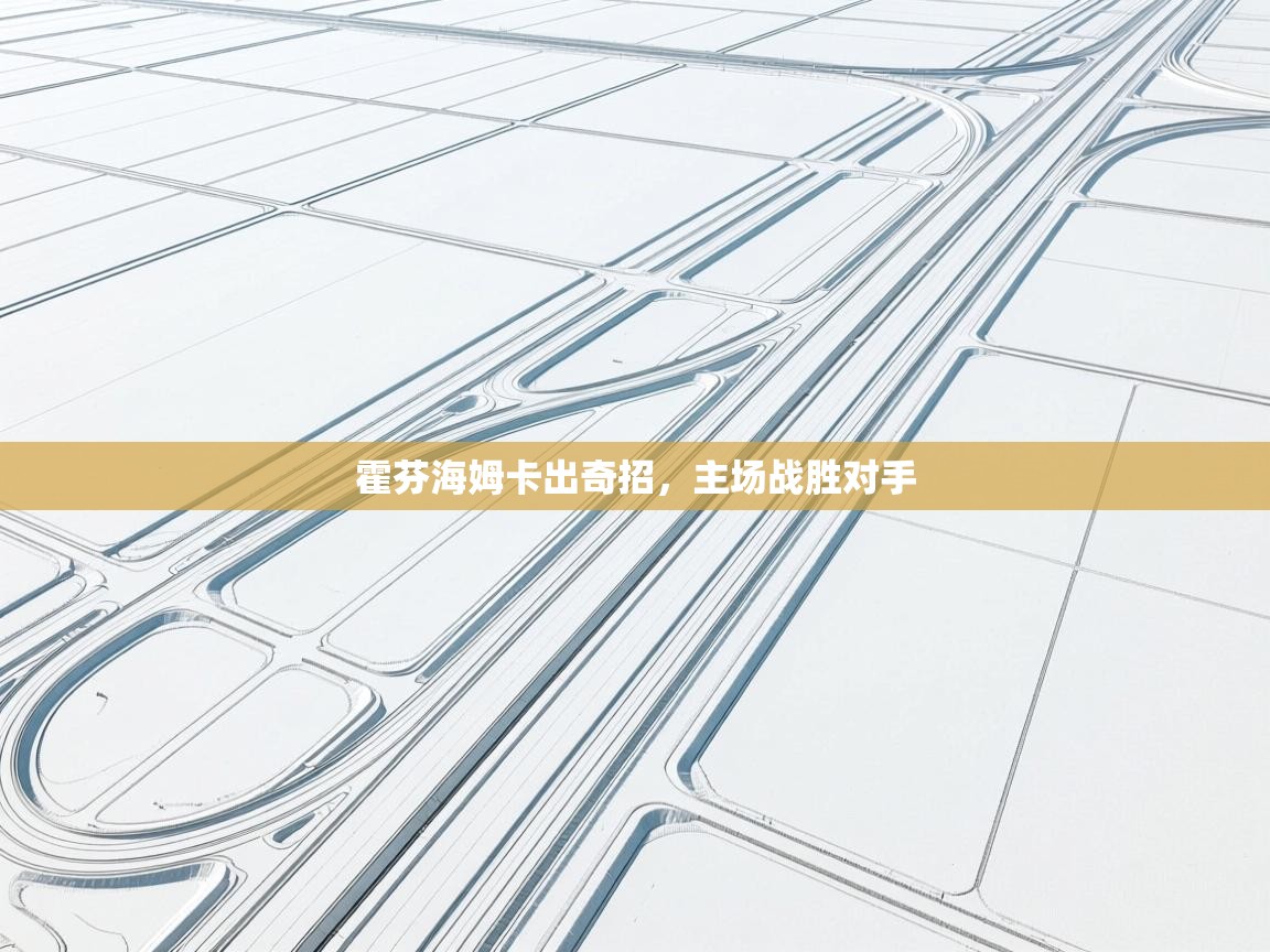 霍芬海姆卡出奇招，主场战胜对手  第2张