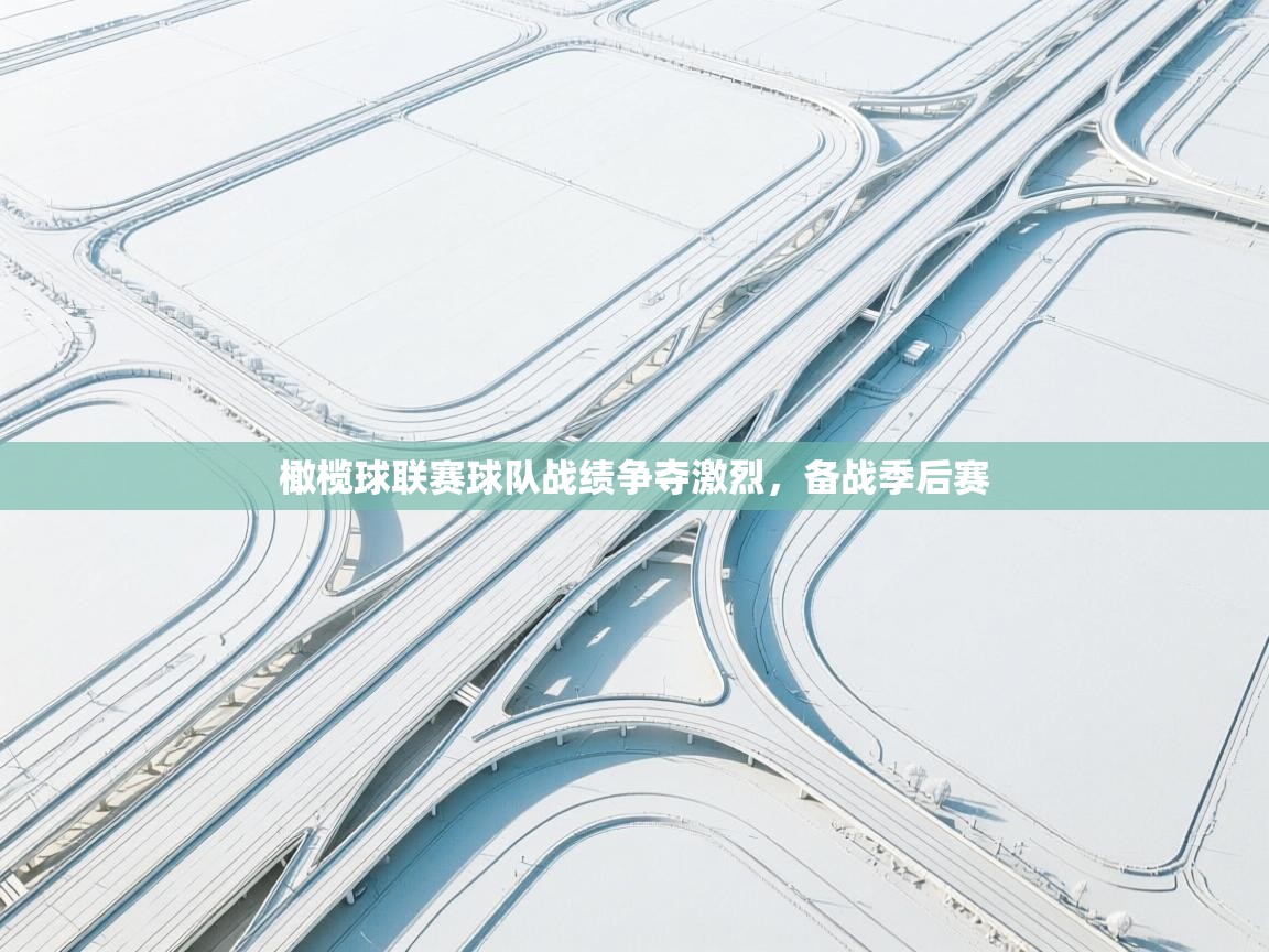 橄榄球联赛球队战绩争夺激烈，备战季后赛