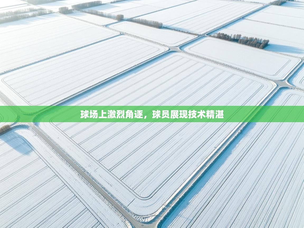 球场上激烈角逐，球员展现技术精湛