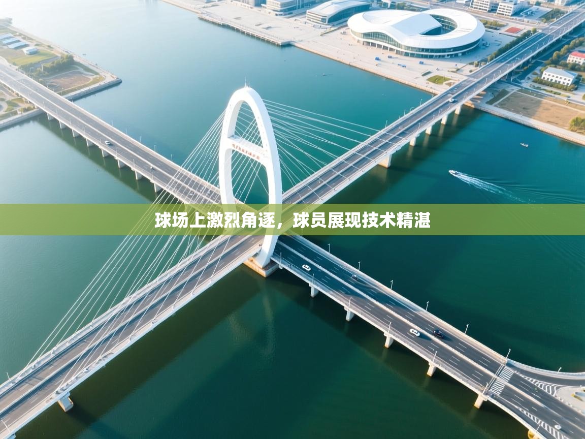 球场上激烈角逐,球员展现技术精湛 第2张