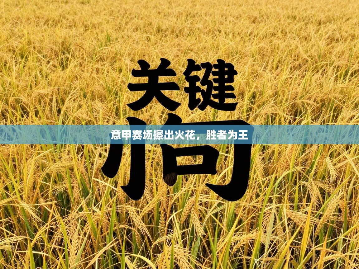 意甲赛场擦出火花,胜者为王 第2张