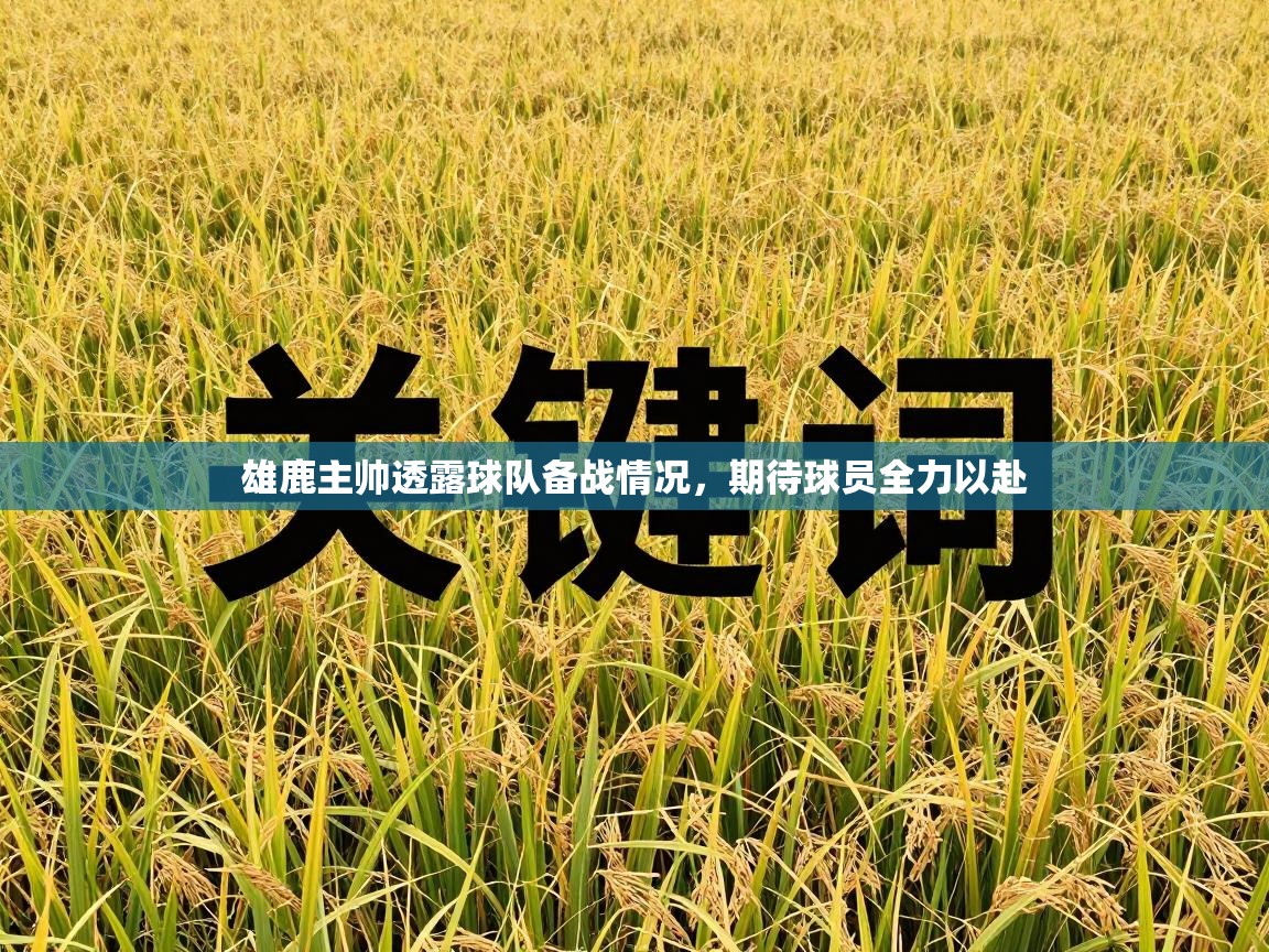 雄鹿主帅透露球队备战情况,期待球员全力以赴 第1张